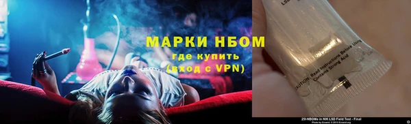 мдпв Верея