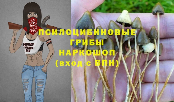2c-b Бронницы