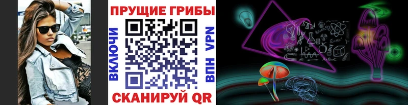 где купить наркоту  Велиж  Галлюциногенные грибы Psilocybe 